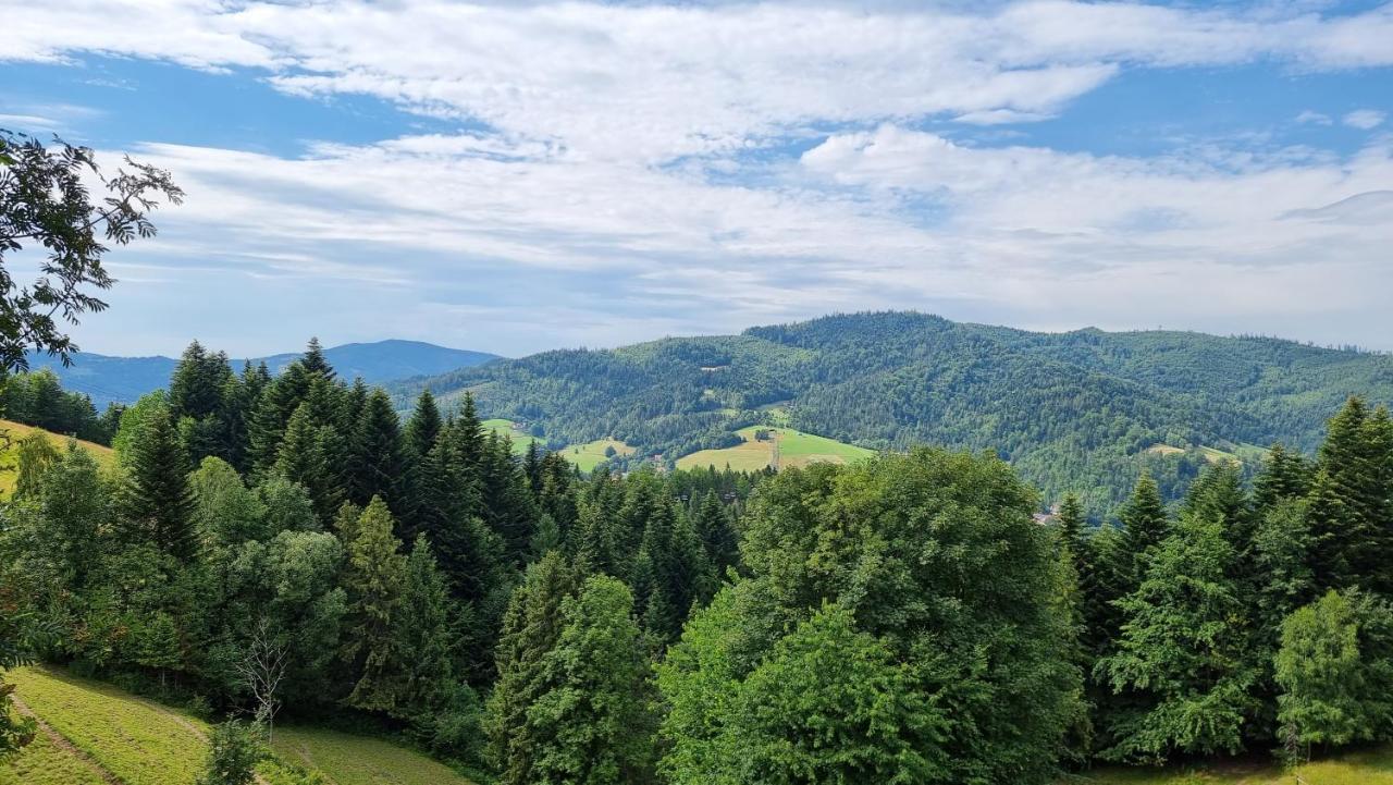 Rezydencja Barrettski Weichsel Exterior foto